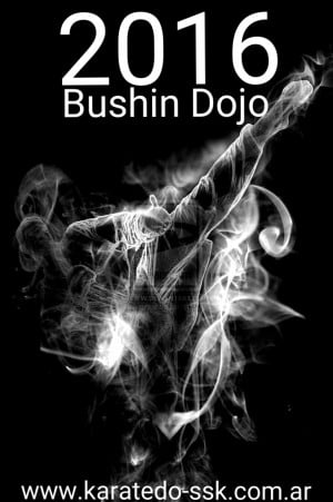 Bushin Dojo Karate Do y Kobudo